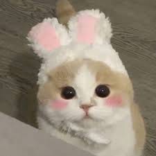 Angela Torres avatar